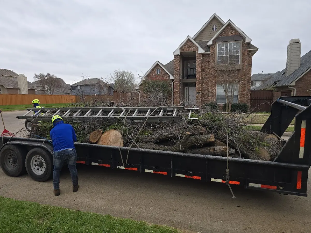 Expert Tree Removal with proper safety equipment in Green Spring